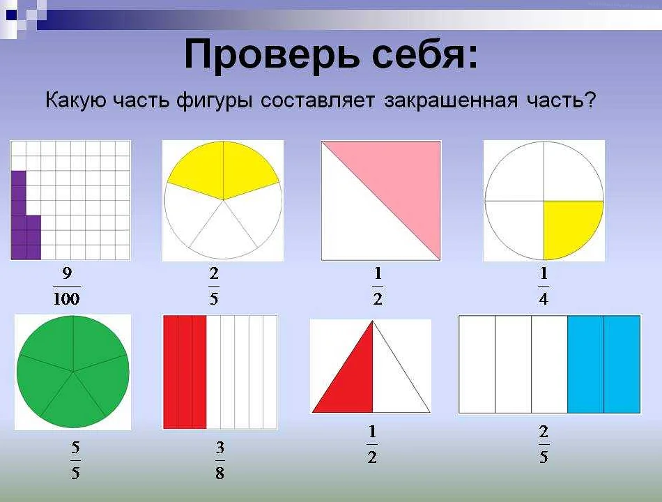 Практические примеры двух и трех частей в математике