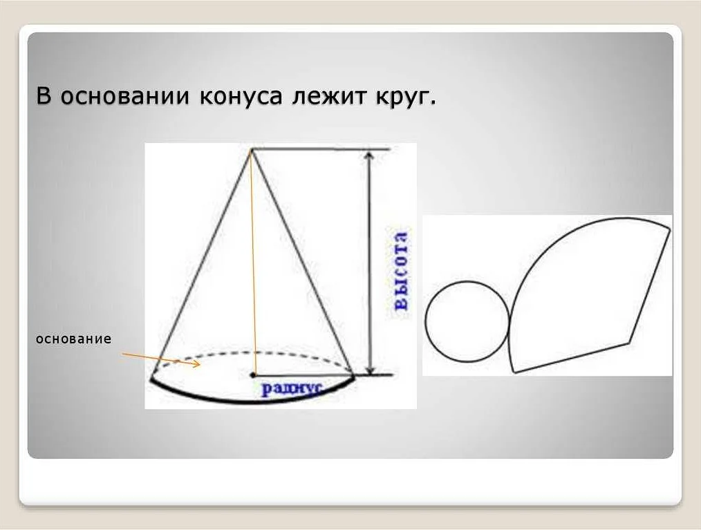 Признаки круглых тел