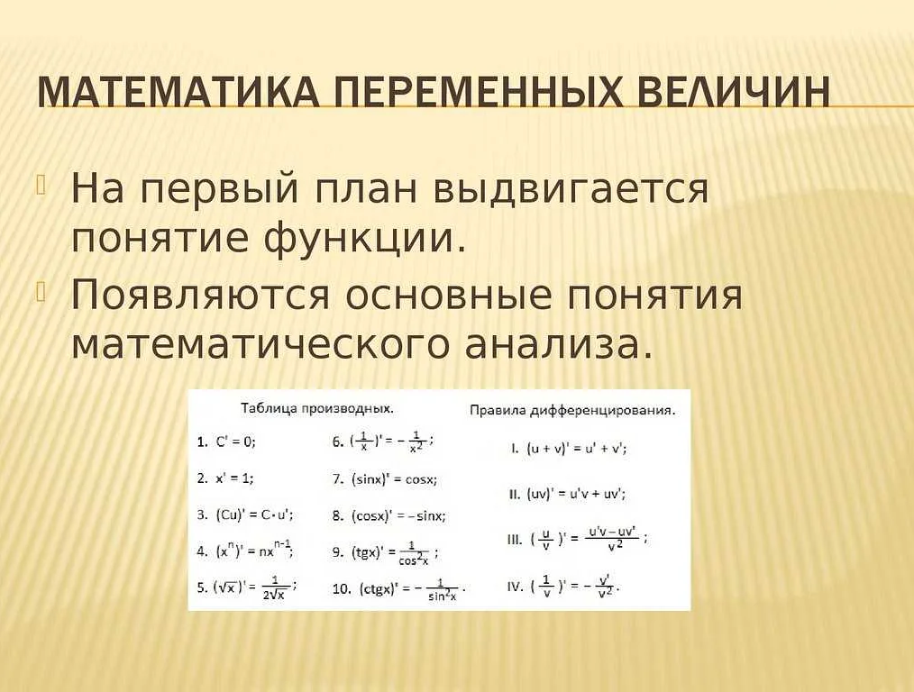 Основные понятия математики