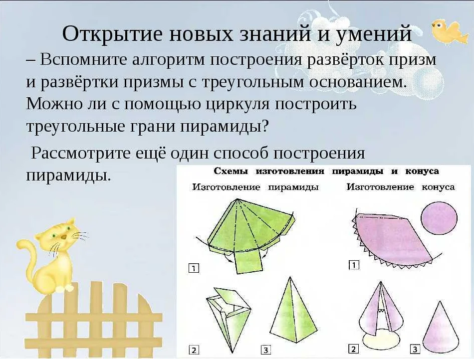 Виды разверток в математике