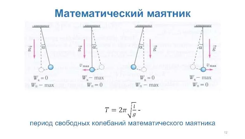 425. Решение задачи "Как относятся длины математических …