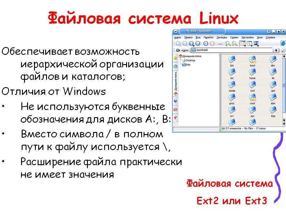 Как перенести файлы с Windows на Linux