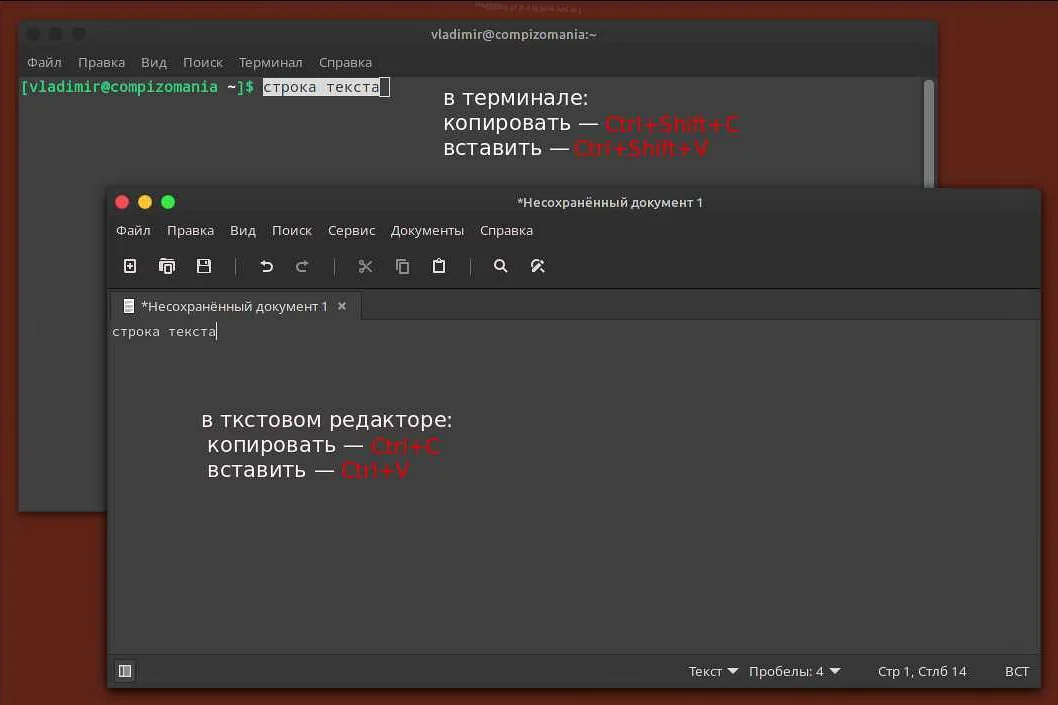 Линукс terminal. Скопировать в терминале. Копирование файлов в linux терминал. Домашняя директория в linux. 12 вывод (terminal).