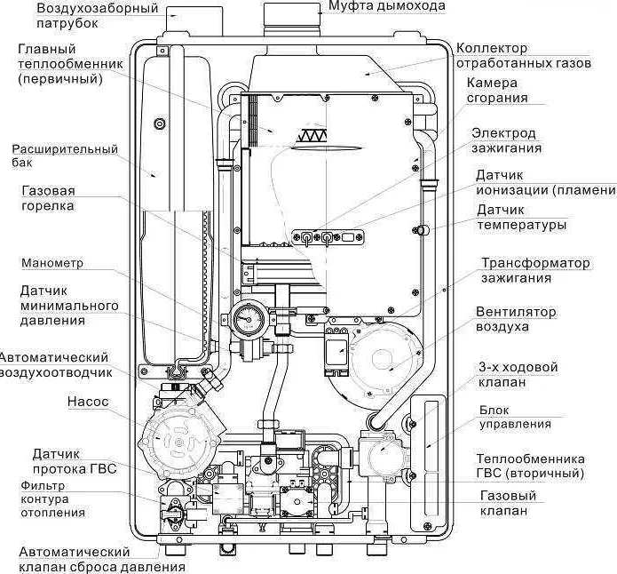 Подключение котла ардерия 24 Как правильно включить газовый котел Seltik: пошаговая инструкция для начинающих