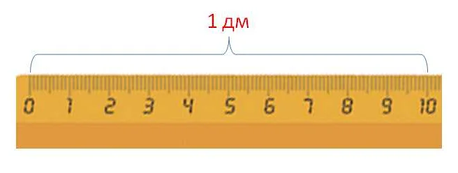 Сколько сантиметров в 1 дм математически?