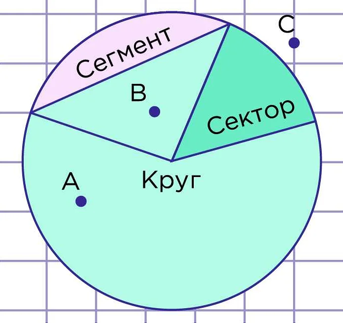 Математика: связь между радиусом и диаметром