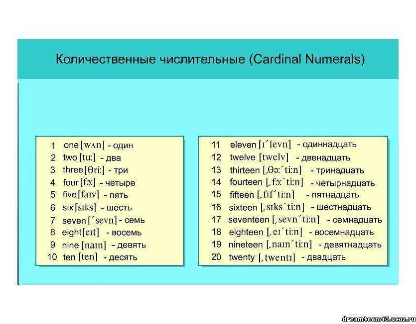 Термины, которые часто используются в алгебре на английском языке