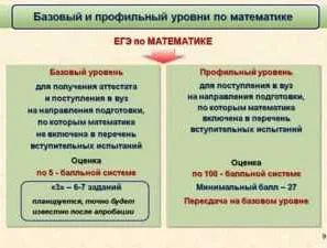 Профильная математика и базовая математика разница. Математика профильная и базовая чем отличается. Разница базовой и профильной математики. Базовая и профильная математика. Егэ базовое и профильное.