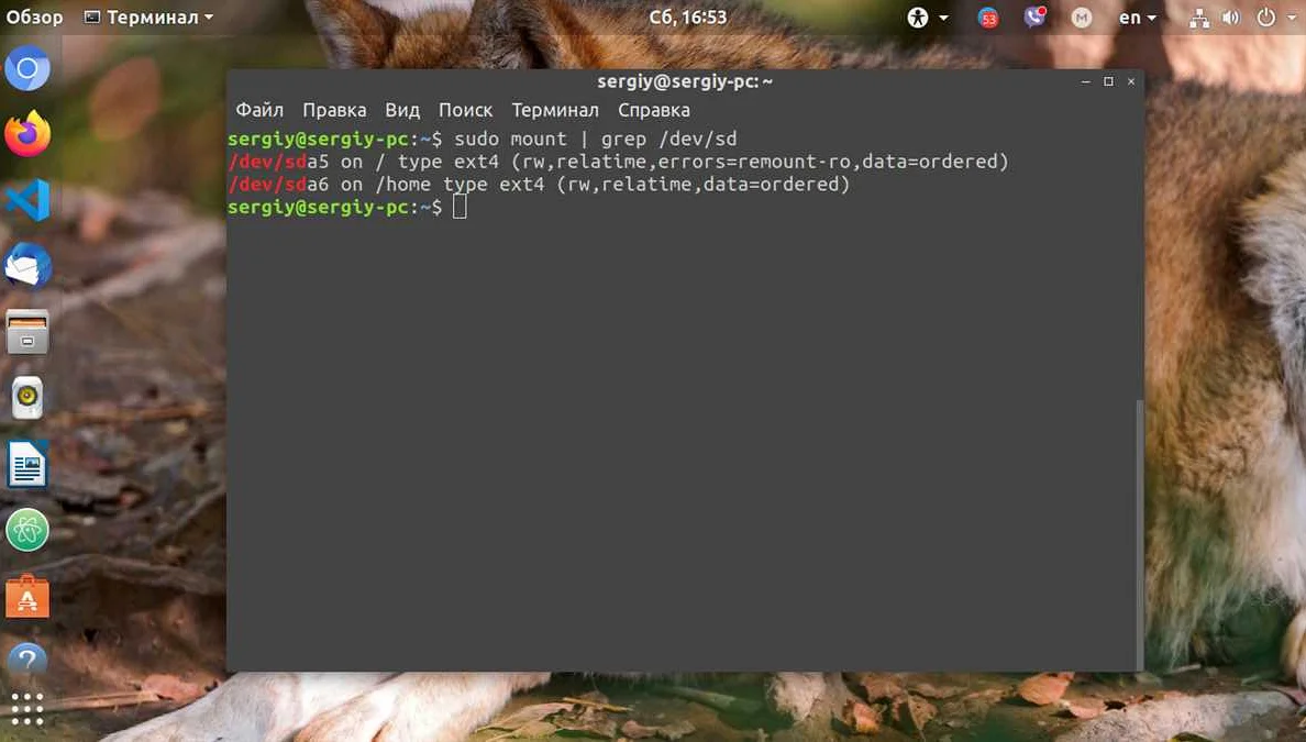Как исправить ошибку 'Read only file system'