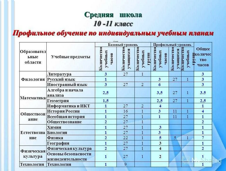 Преимущества изучения математики с раннего возраста
