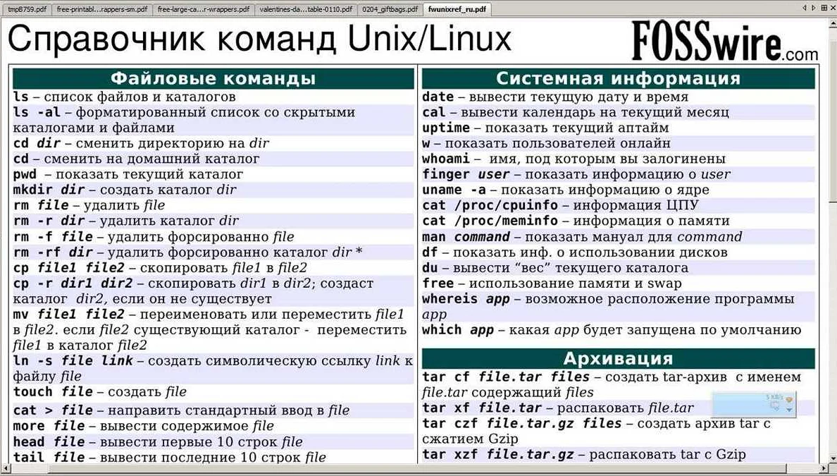 Различия между bash и терминалом: подробный обзор